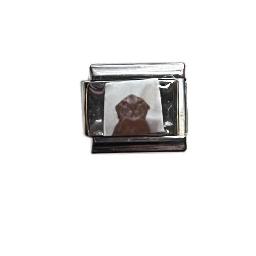 Photorealistic Cat getting poured on charm